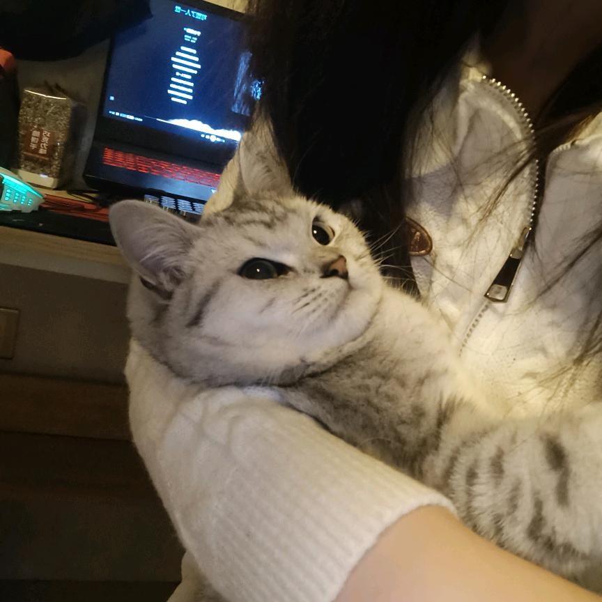 小陈和小徐的日记🐱