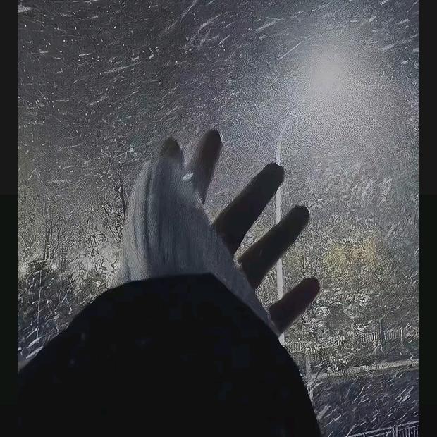 人生何意需尽欢