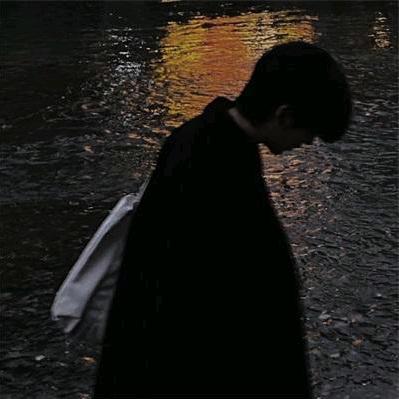 一只硬脚虾