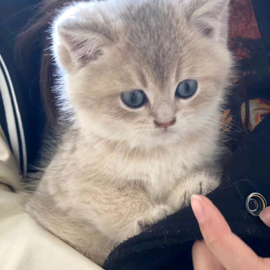 ᰔᩚ往事随风౪ᩚ ²²🥕