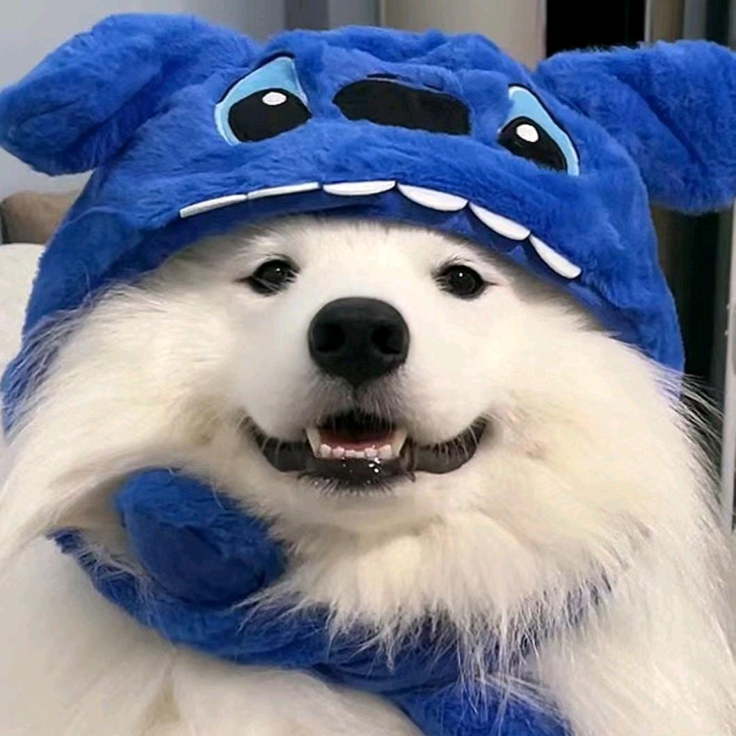 ㅤㅤㅤㅤㅤ　ㅤㅤㅤㅤㅤ　ㅤㅤㅤㅤㅤ　ㅤㅤ