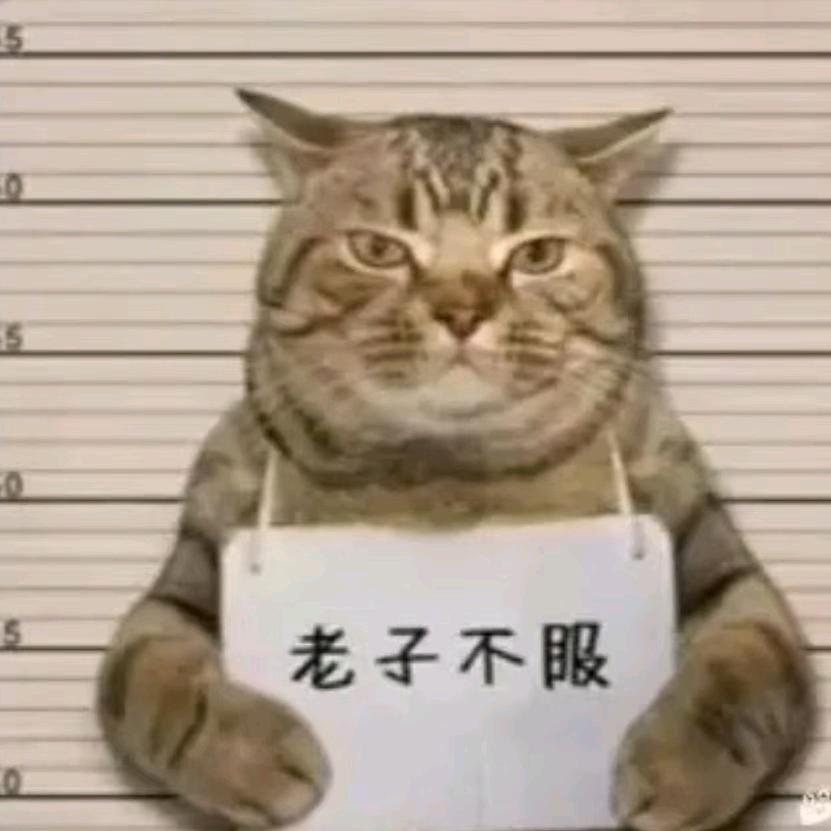 摆烂с