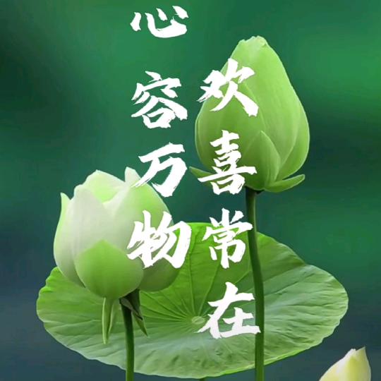 龙耀盛世