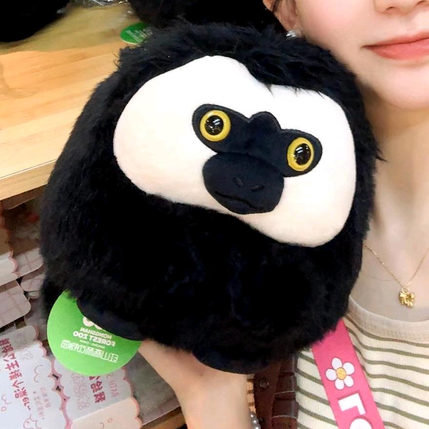 满山猴子我腚最红丨