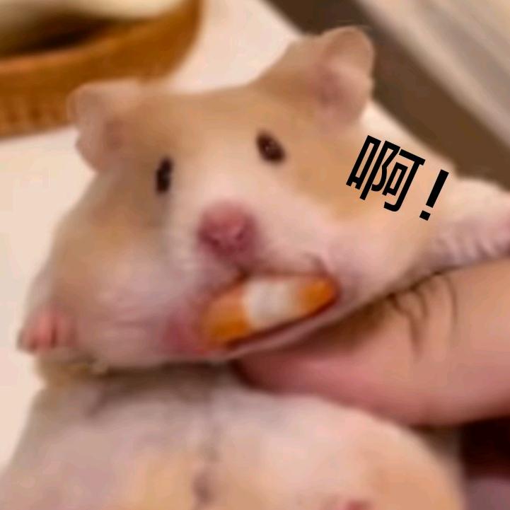 大迷糊