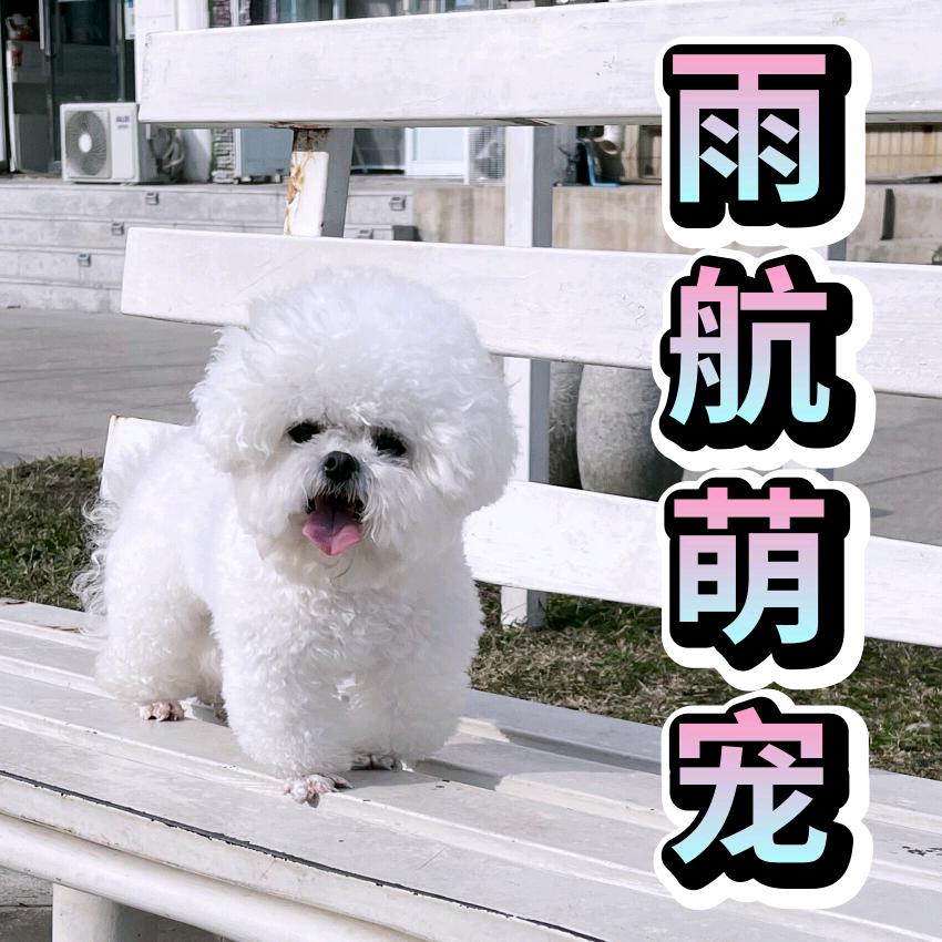 海城🇨🇳雨航犬业🐲