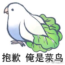 感意