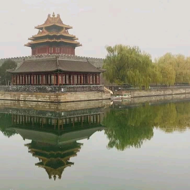 红利