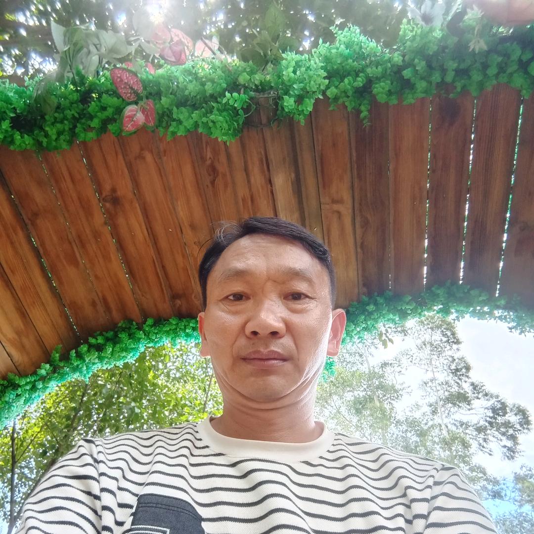 毛哥尼斯软籽石榴果园