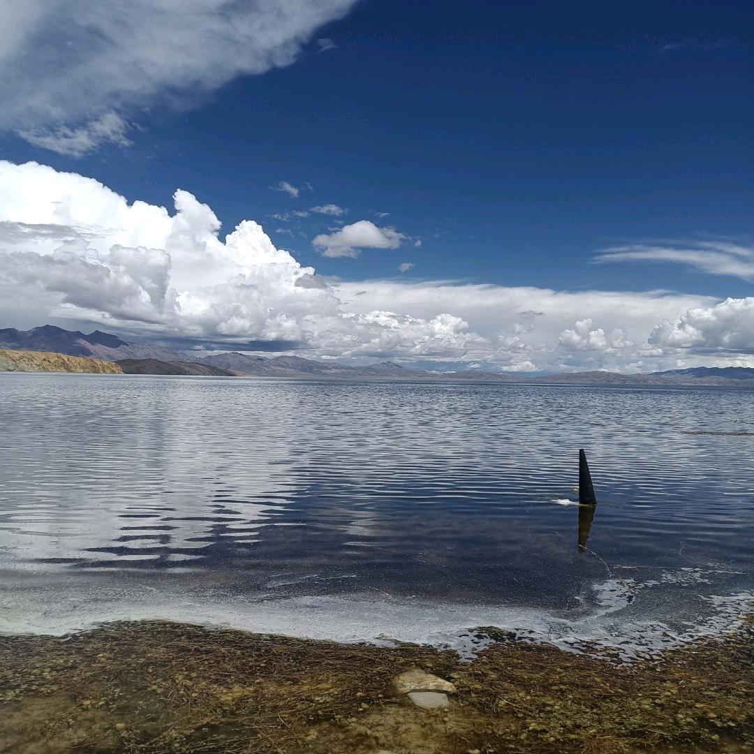 用户197452火花四溅