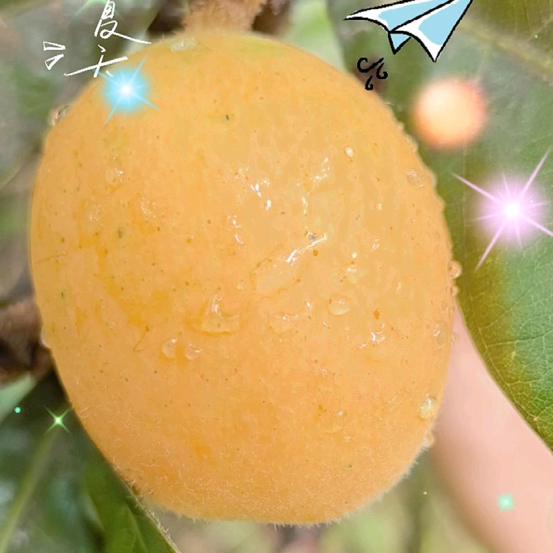 岁月静好，看淡繁华