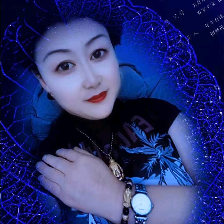 毛毛小宝