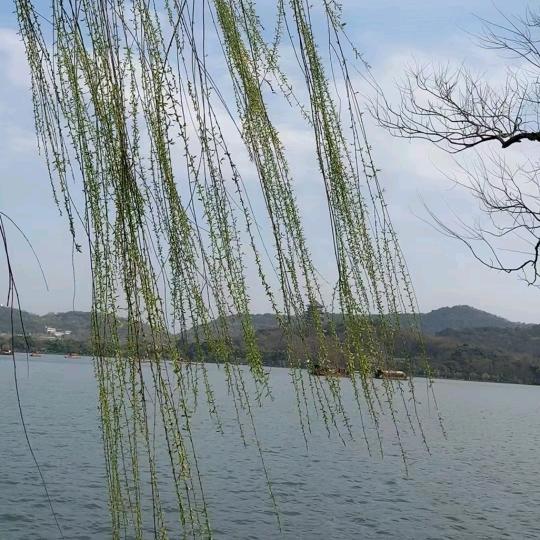 神马都是浮云