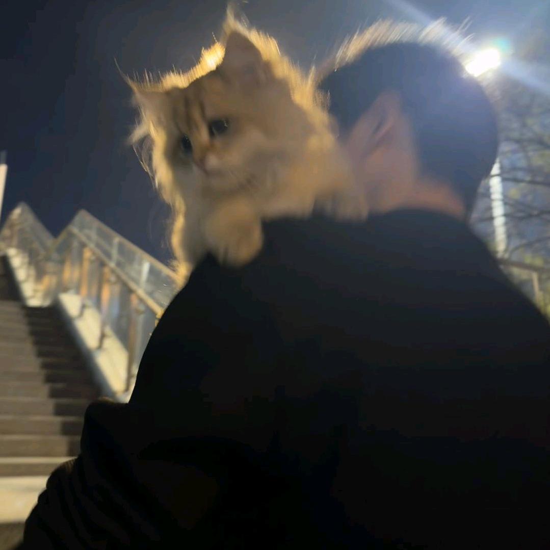 停风