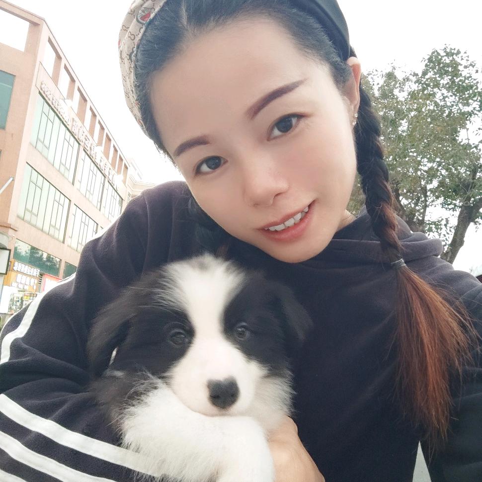 小李子🎤