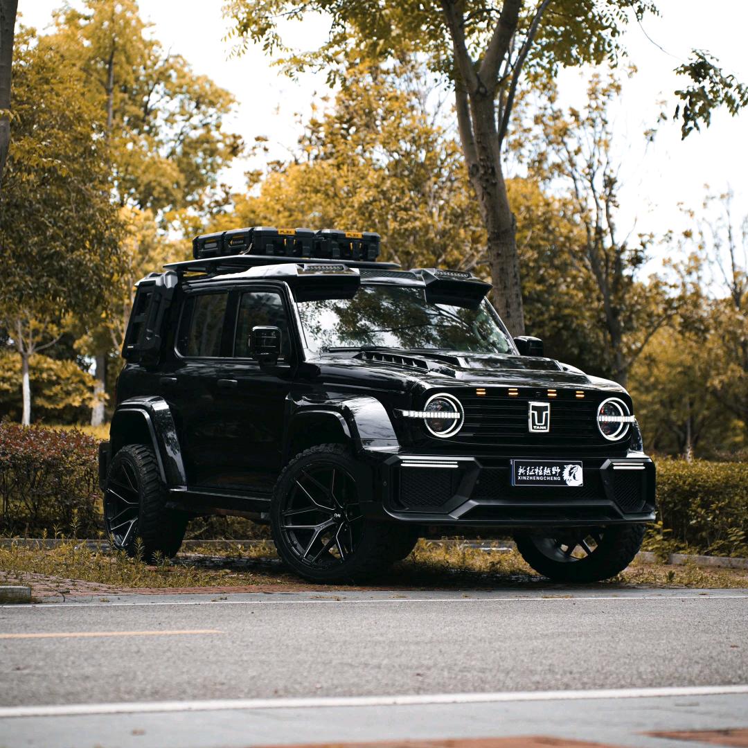 坦克 300
