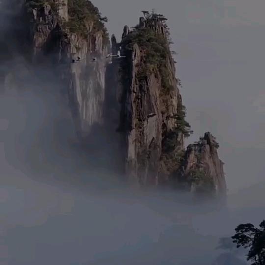 寂寞