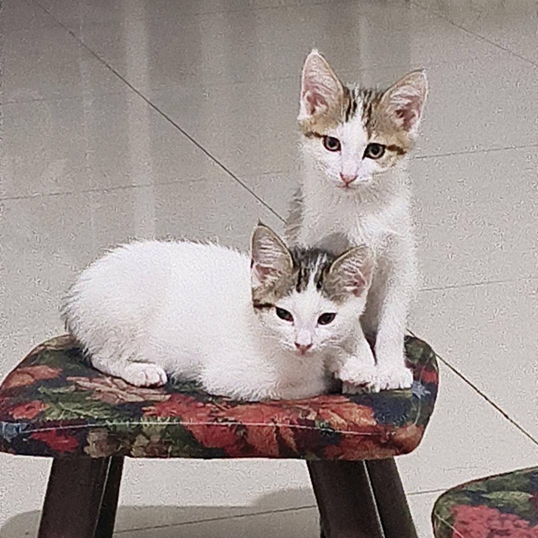 话不投机半句多