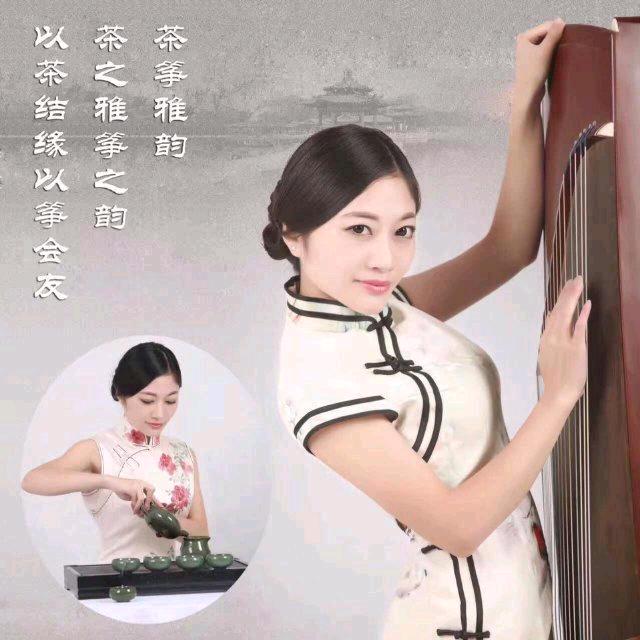 茶筝雅韵🍀