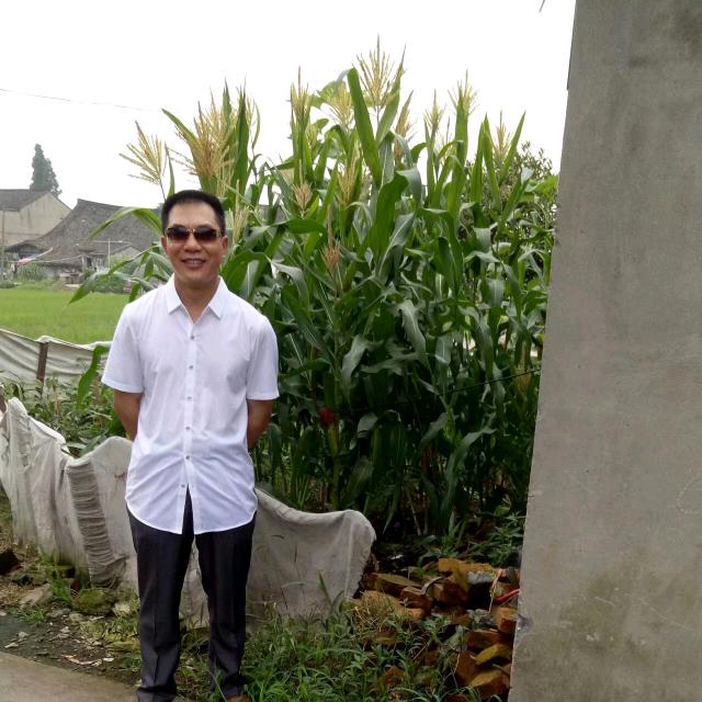 金玉满堂《張》