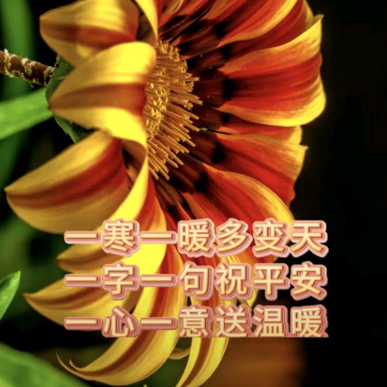 快乐直播间