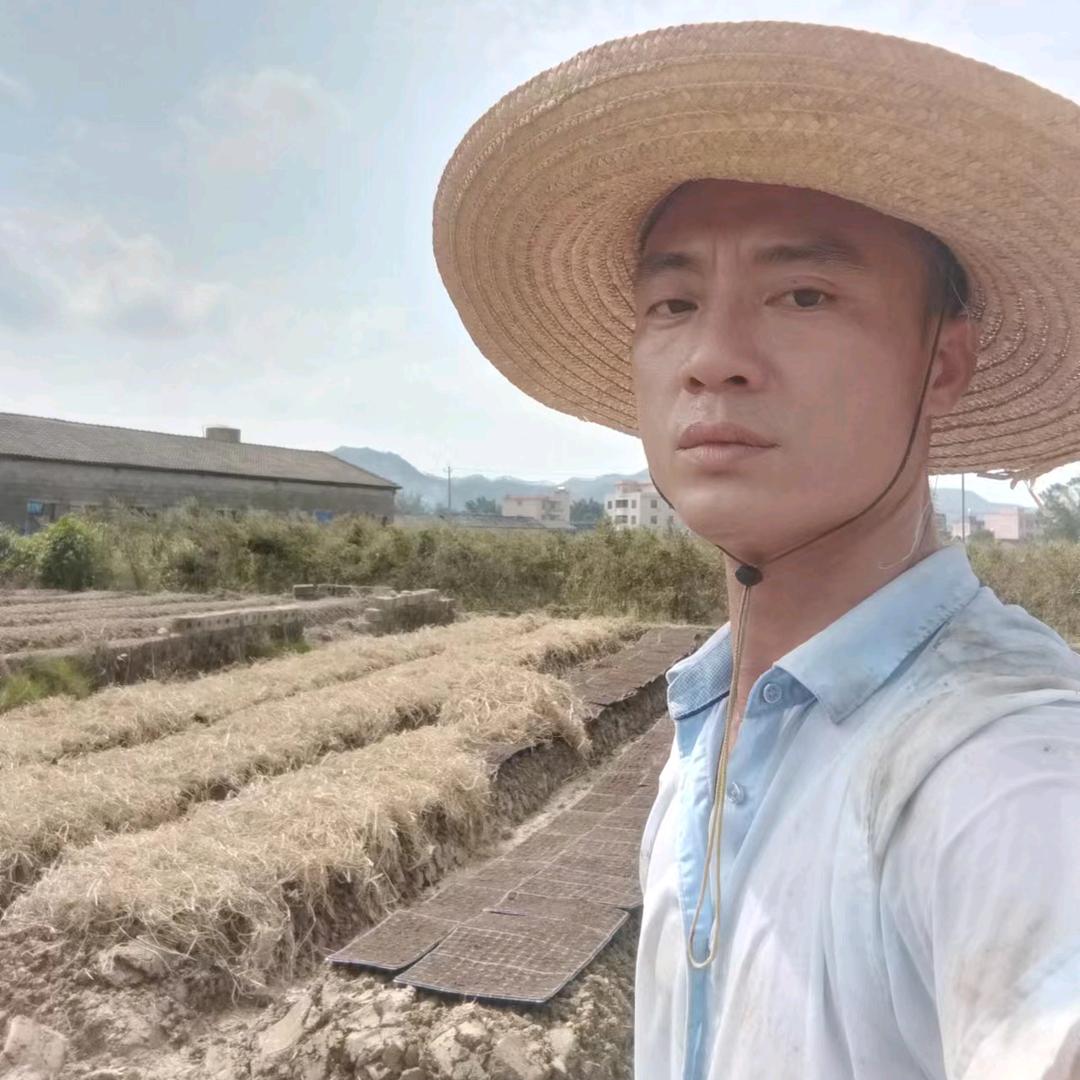 宏哥（4宝爸）早上8：35开播