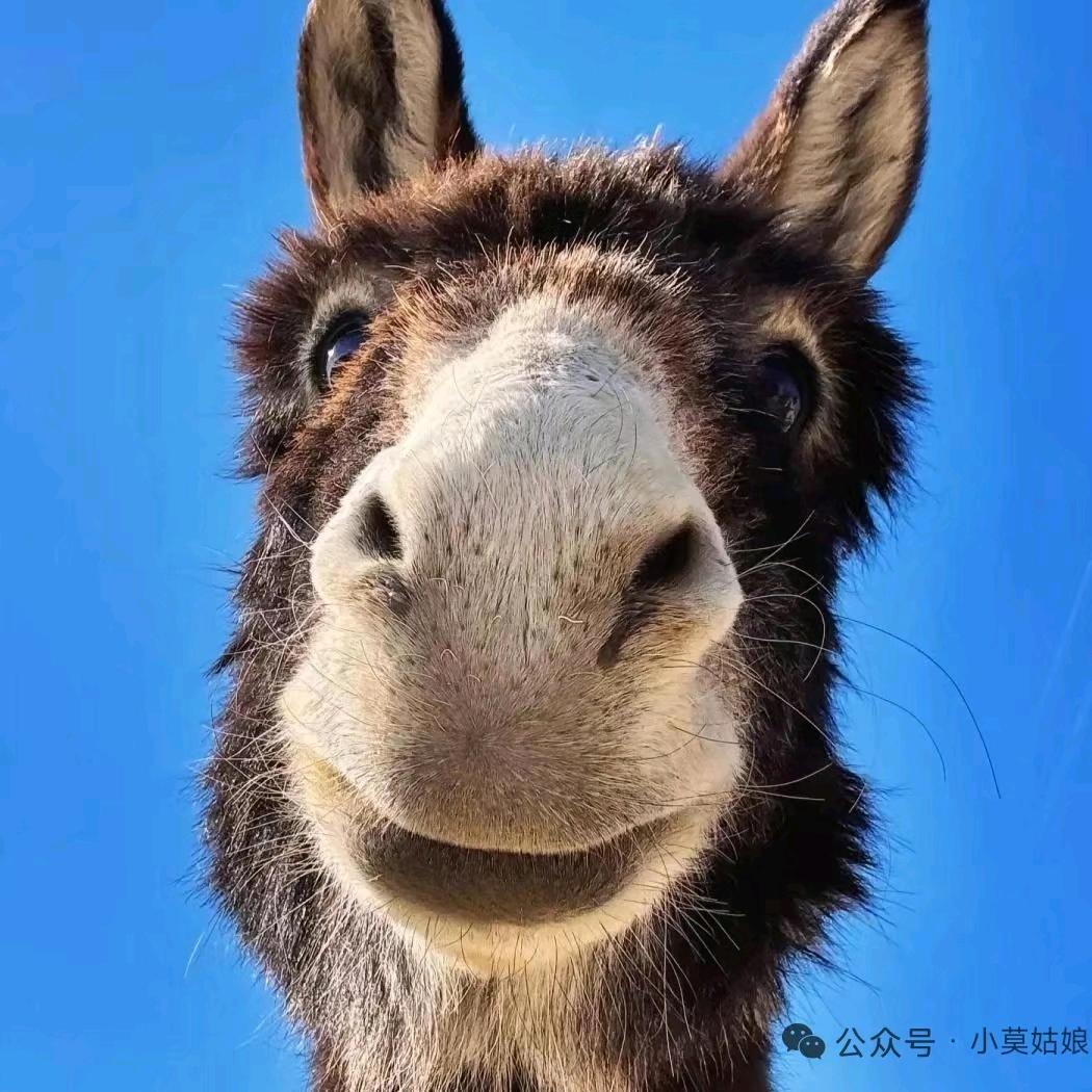 取名困难户_