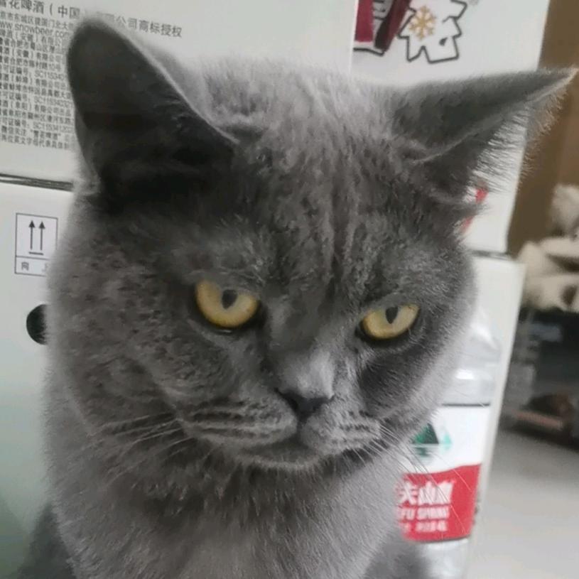 小迅带你吃喝玩