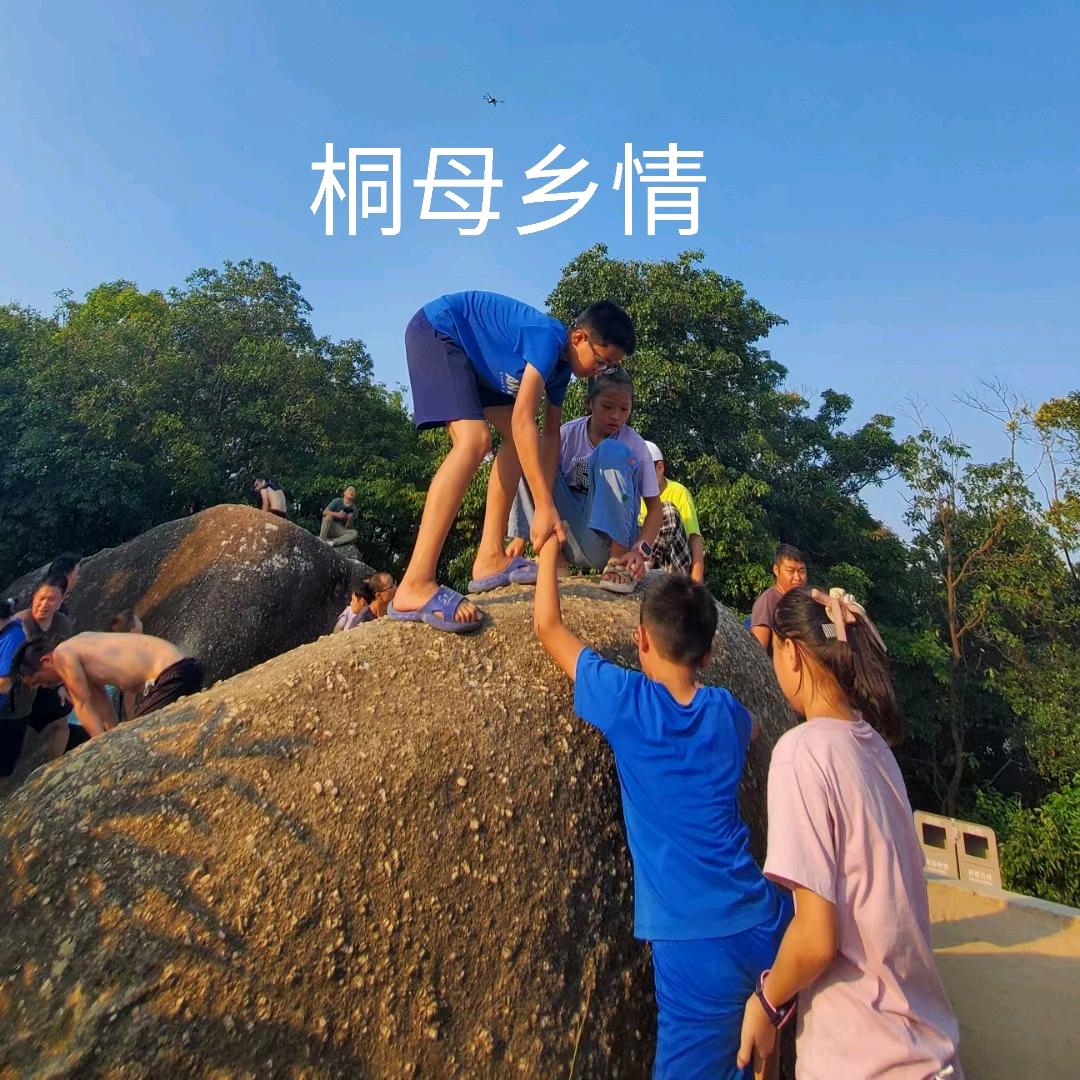 桐母乡情