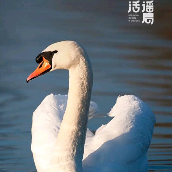 家和万事兴