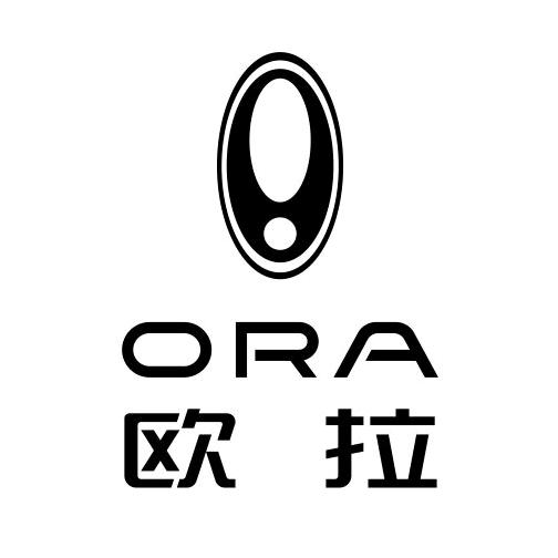 欧拉汽车-合肥世盛