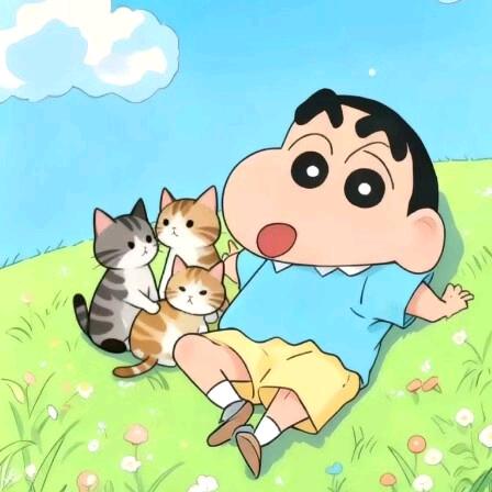 杭州嘉兴猫咪收养送养领养驿站