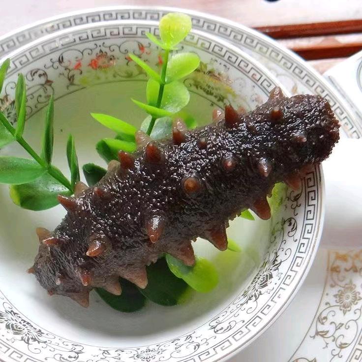 大鱼海参