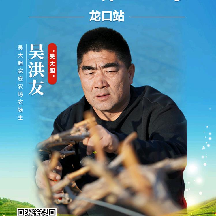 吴大胆