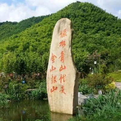 铭睿茶叶