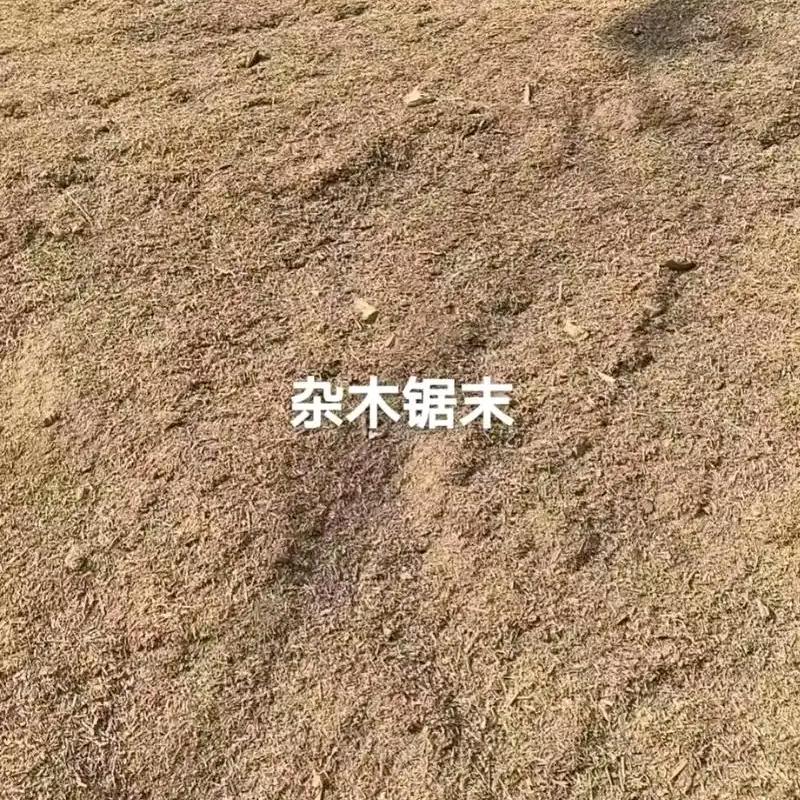 雨点点