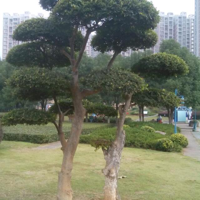 归零&思念