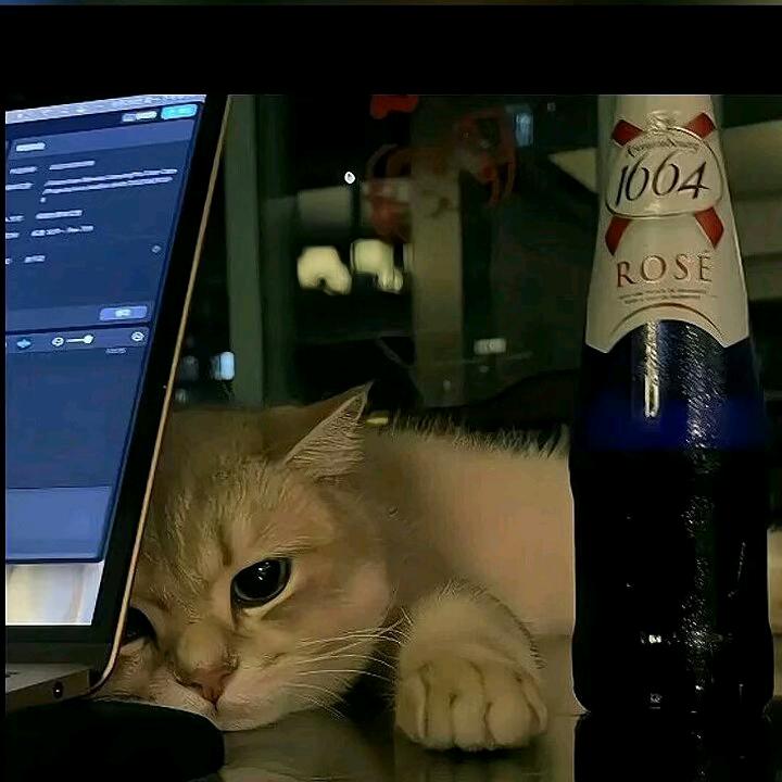 冰.💤散落的回忆