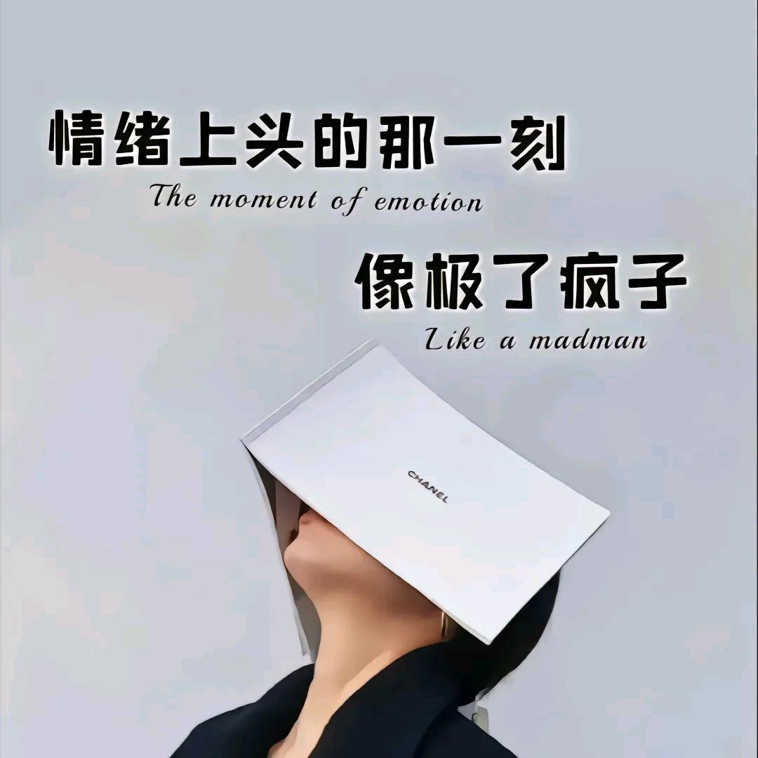 半个淑女