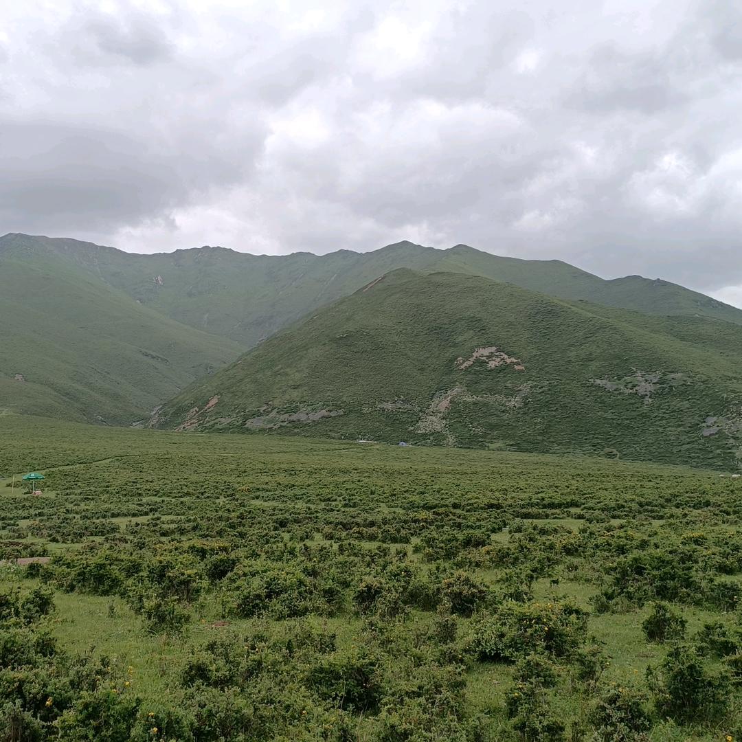 🥀ঞ乐淳💞࿐