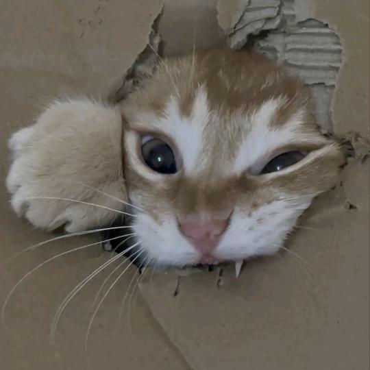 得到和失去是同一件事情🎵