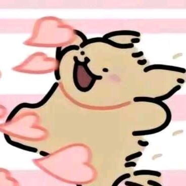 芒果
