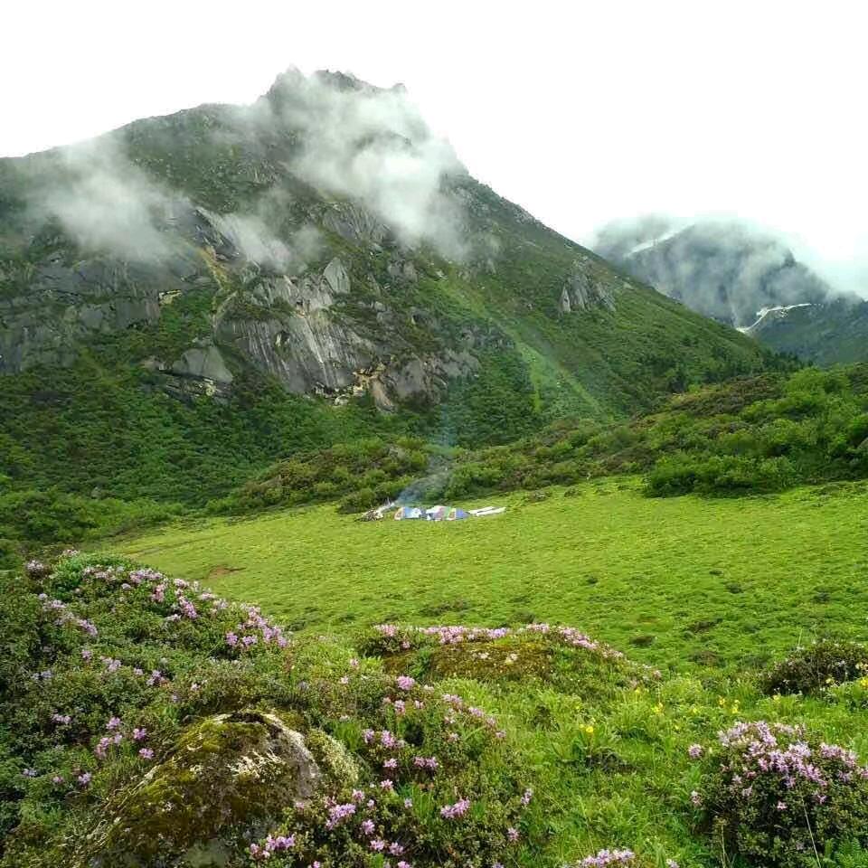 珠杰旦达
