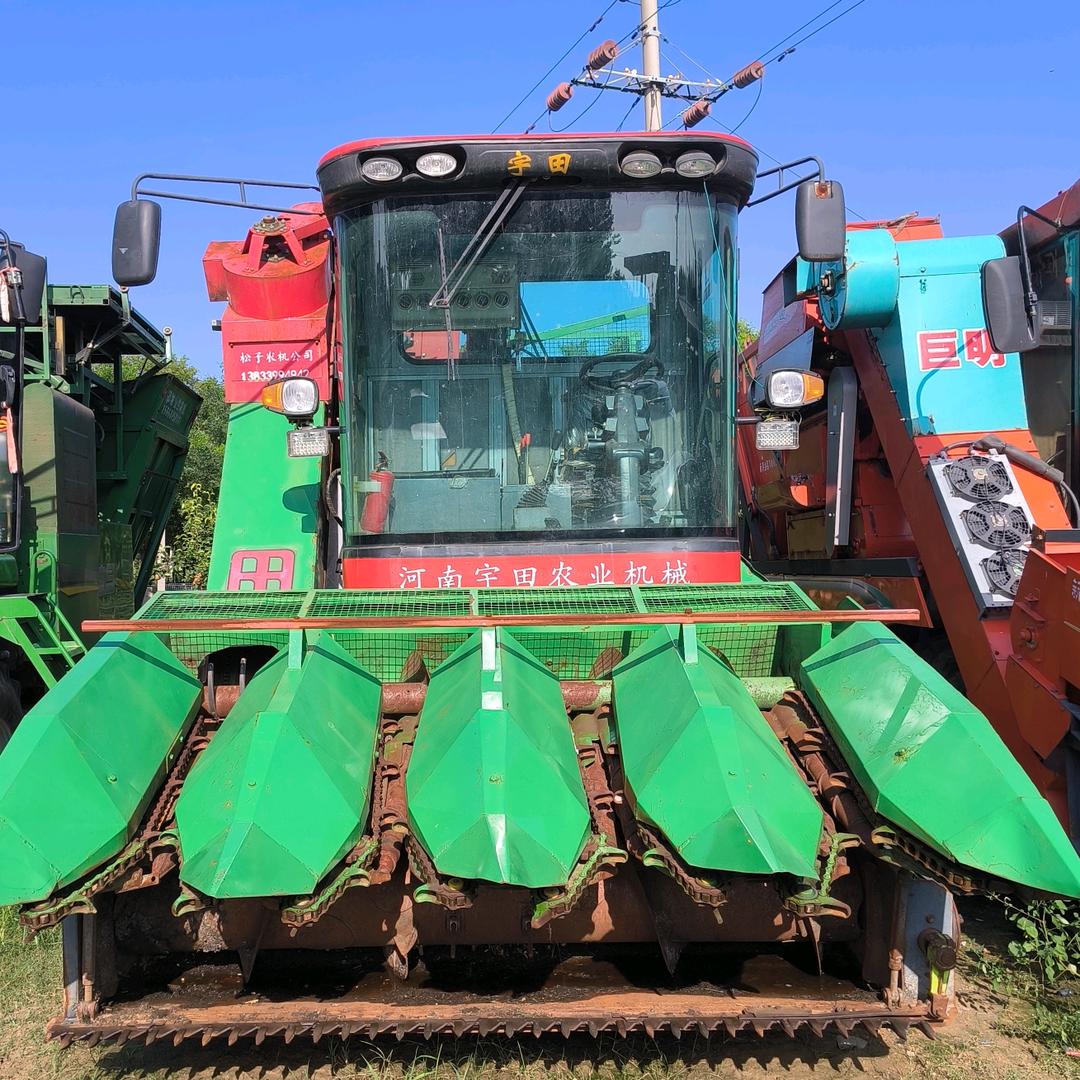 非洲小白脸二手玉米双收