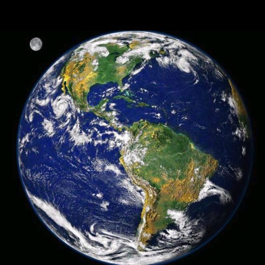 别看我是一只羊