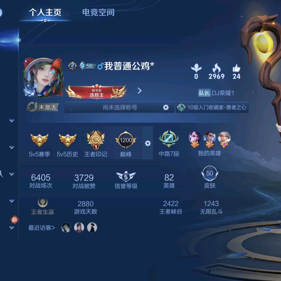 王者荣耀诸葛亮