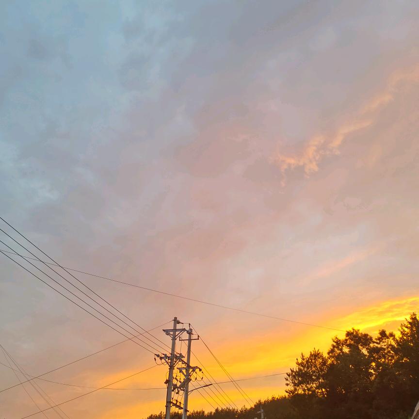 秀儿🌻