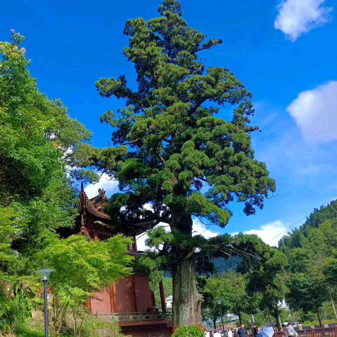 自强不息身方健，天底无私心地宽。