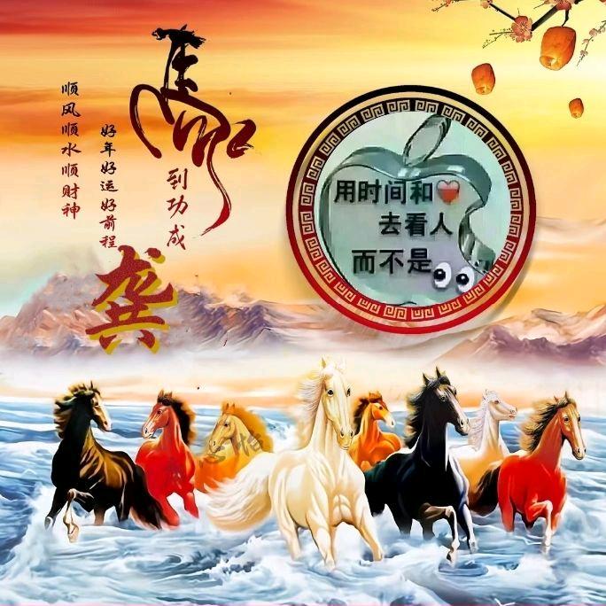 龚朝阳(橱窗好物推荐)