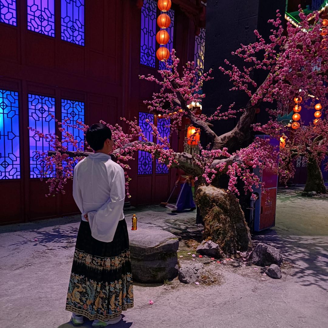 飞翔
